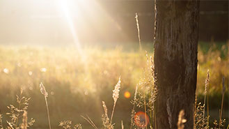 会员平台正规的网站攻击手段